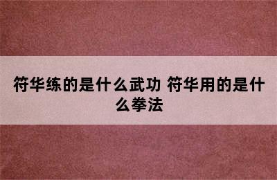 符华练的是什么武功 符华用的是什么拳法